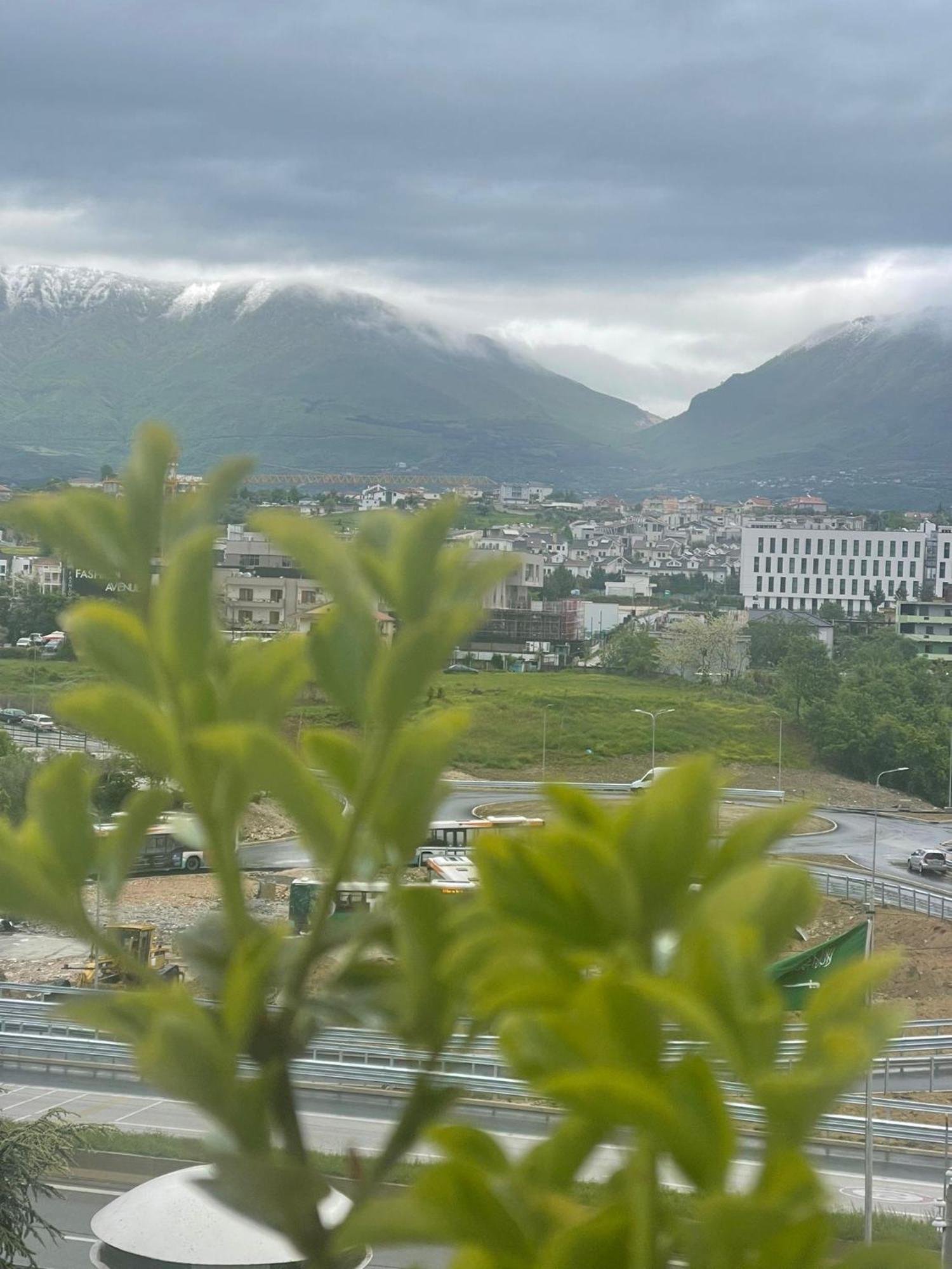 Misk & Tirana